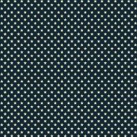 ttUSA-CD4932 NAVY